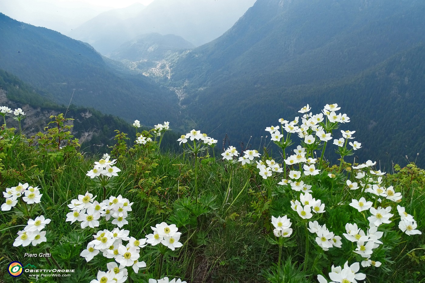 78 Vista sulla Valle di Roncobello.JPG -                                